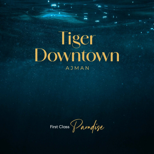 Tiger Downtown Brochure_page-0001 Tiger Downtown Brochure_page-0001